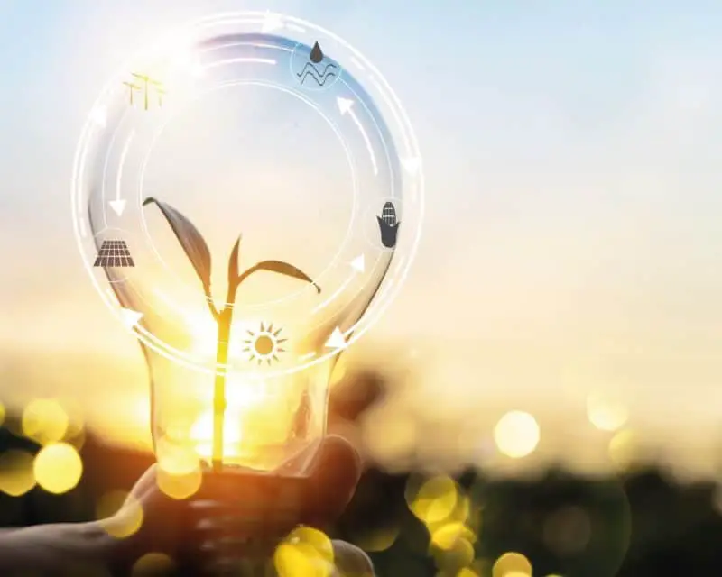 Ahorro energético en la empresa: 5 medidas concretas a seguir