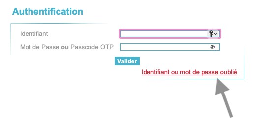 ¿Cómo utilizo el sistema de mensajería de la Académie de Nantes?