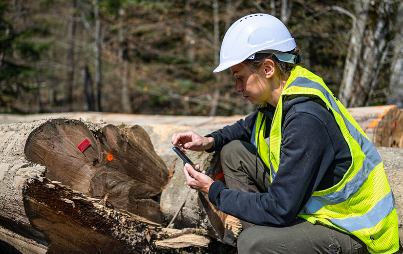 Protégete adecuadamente cuando trabajes como leñador