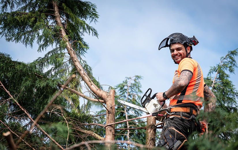 Protégete adecuadamente cuando trabajes como leñador