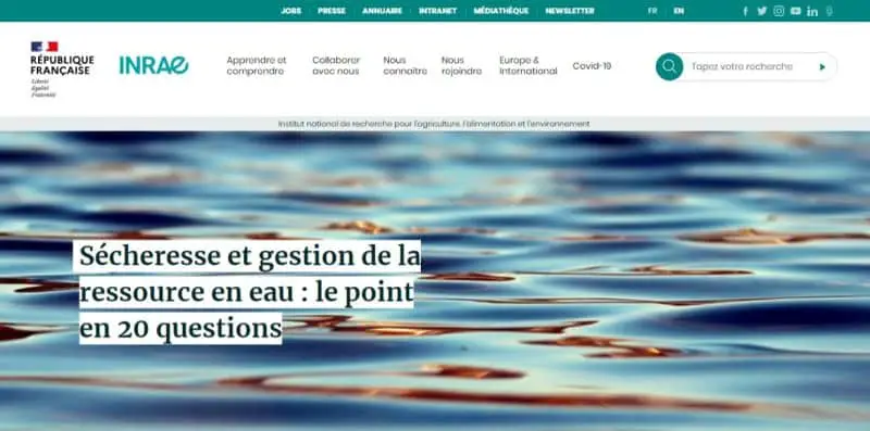 Mensajería INRAE: la solución de comunicación para proyectos exitosos