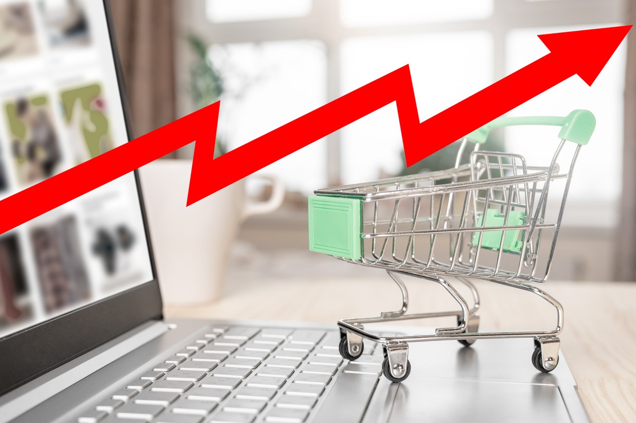 Comercio electrónico: ¿cómo elegir el sector de ventas?