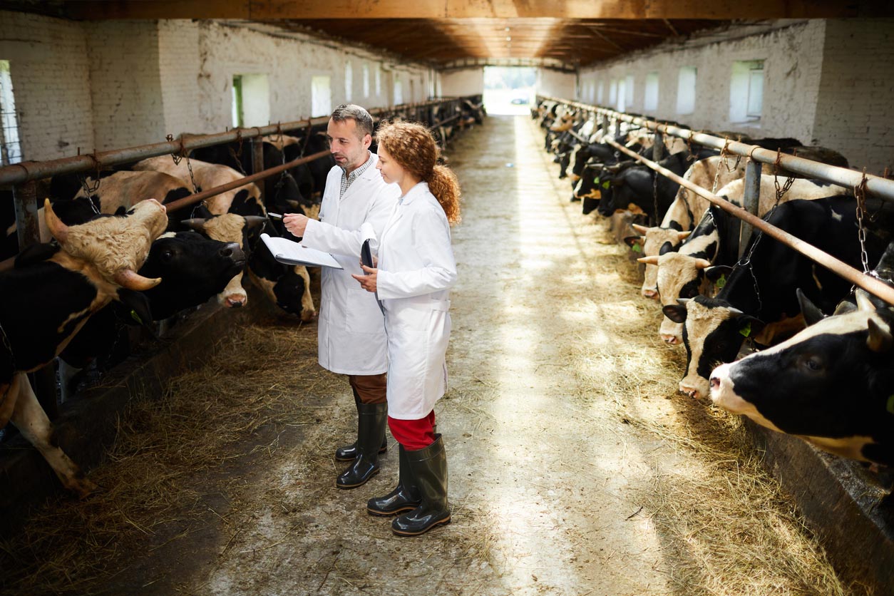 Descripción del puesto: ¿Cómo se llega a ser etólogo?