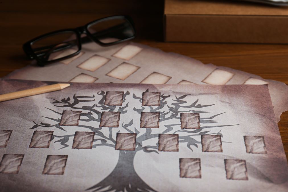 Descripción del puesto: ¿Cómo convertirse en genealogista?