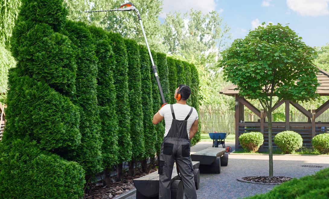 Descripción del puesto: ¿Cómo se llega a ser jardinero paisajista?