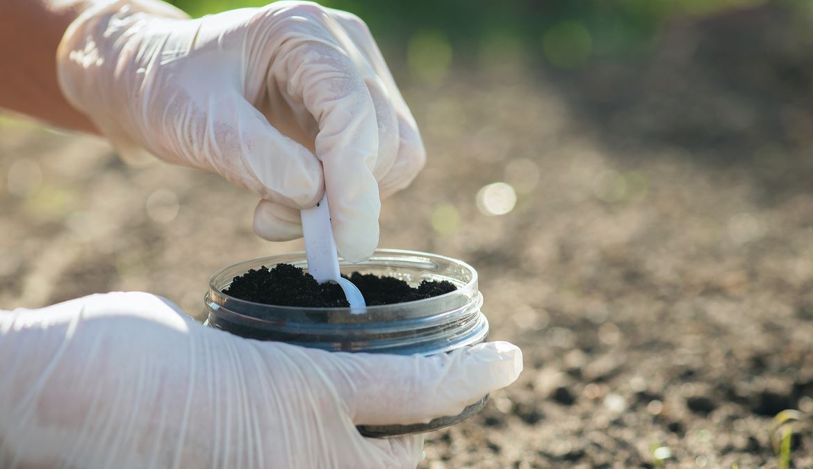 Descripción del puesto: ¿Cómo convertirse en ecotoxicólogo?