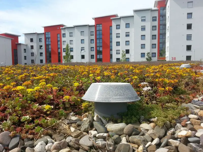 ¿Por qué elegir un patrono voluntario para gestionar una copropiedad?