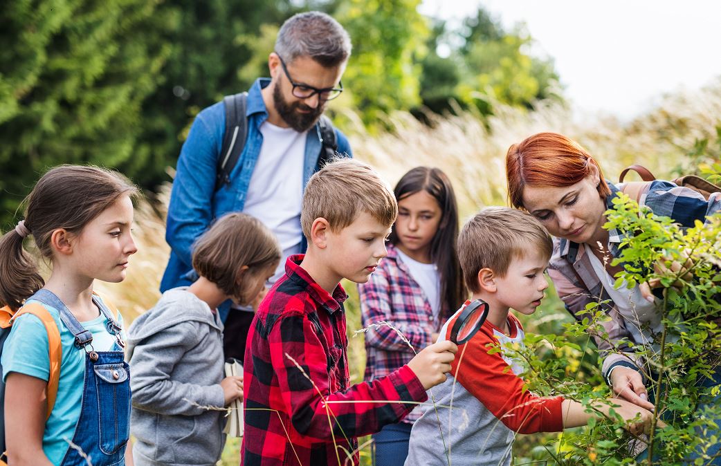 ¿Cómo convertirse en líder de actividades extracurriculares?