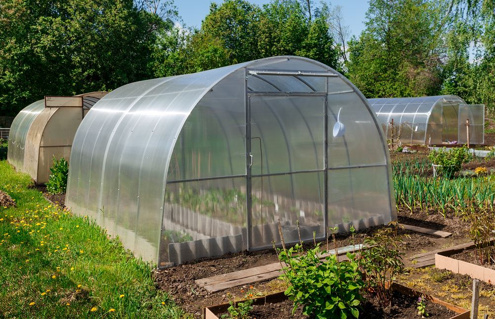 ¿Cómo llegar a ser jardinero de invernadero?