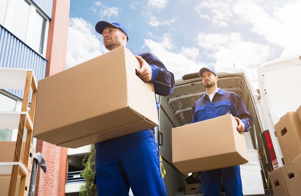 ¿Cómo me convierto en empresa de mudanzas?