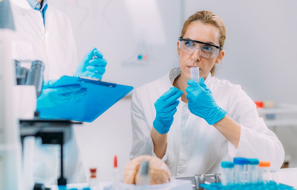 ¿Cómo me convierto en formulador?