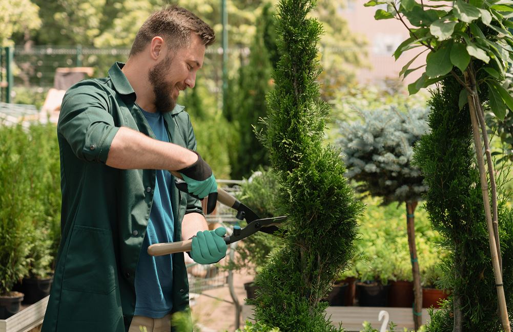 ¿Cómo puedo convertirme en jardinero paisajista?
