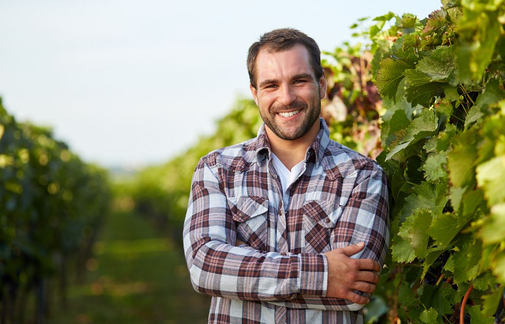 ¿Cómo se llega a ser enólogo?