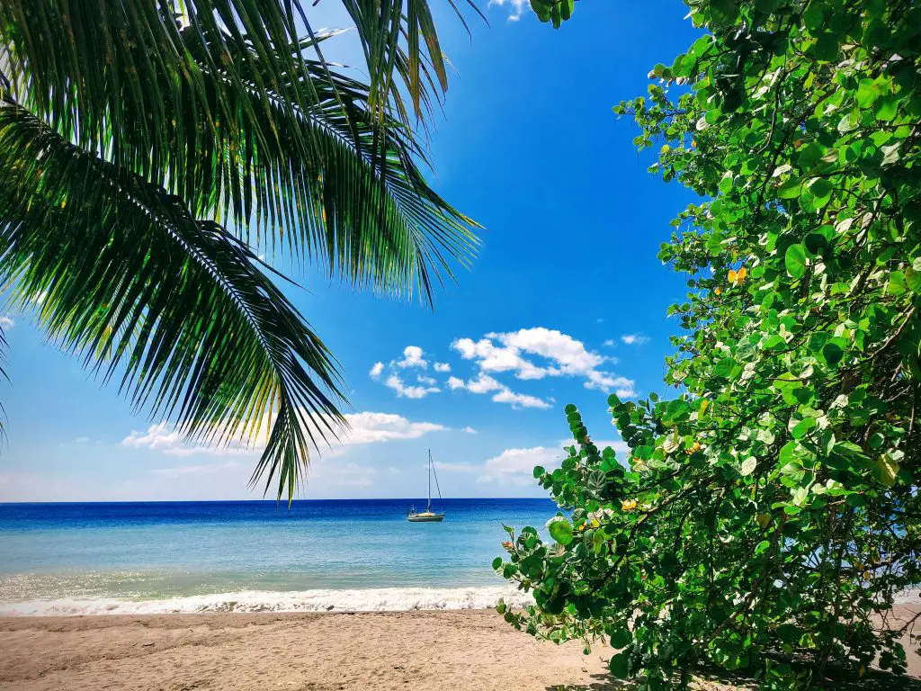 ¿Qué ventajas tienen las mutuas de seguros en las Antillas para los residentes?