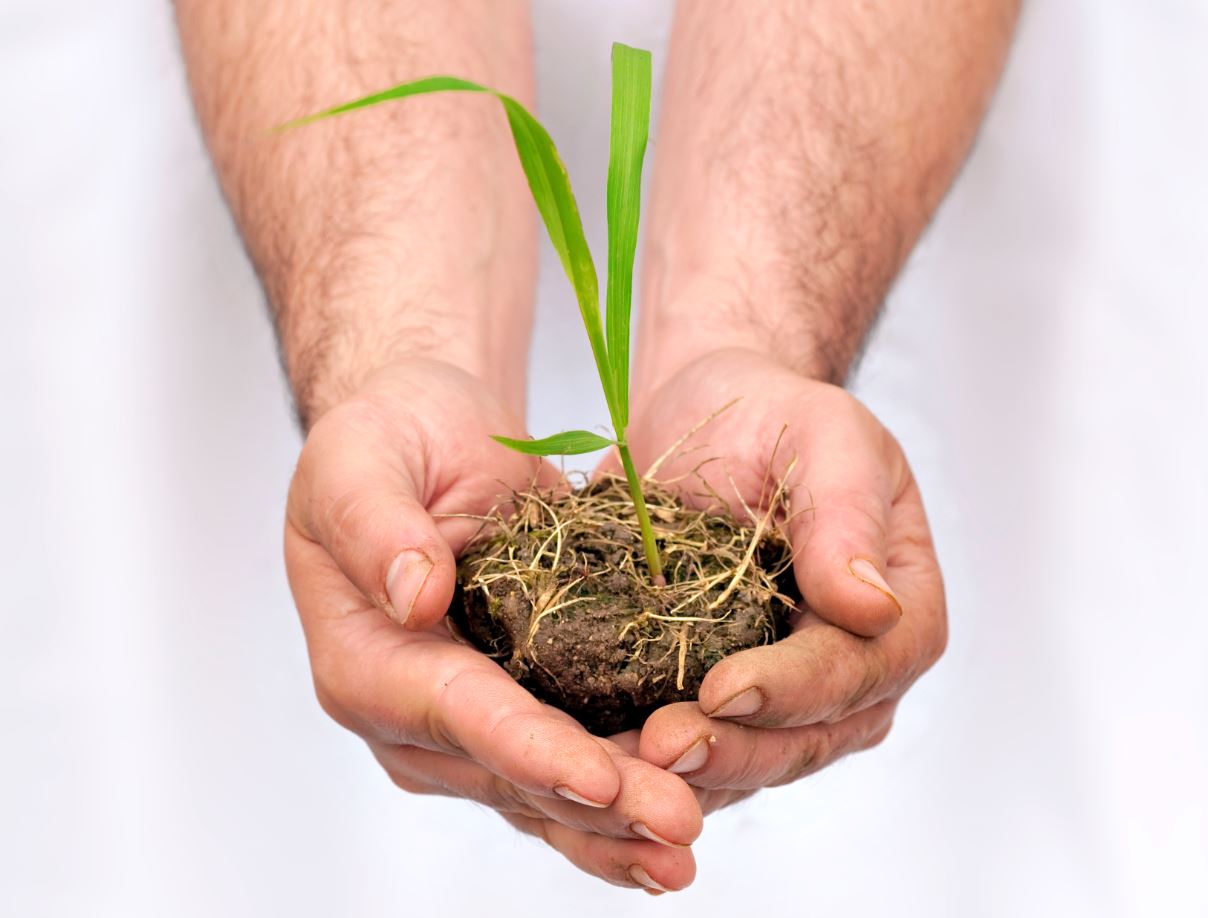 Contratar un préstamo al consumo en situación de desempleo: soluciones