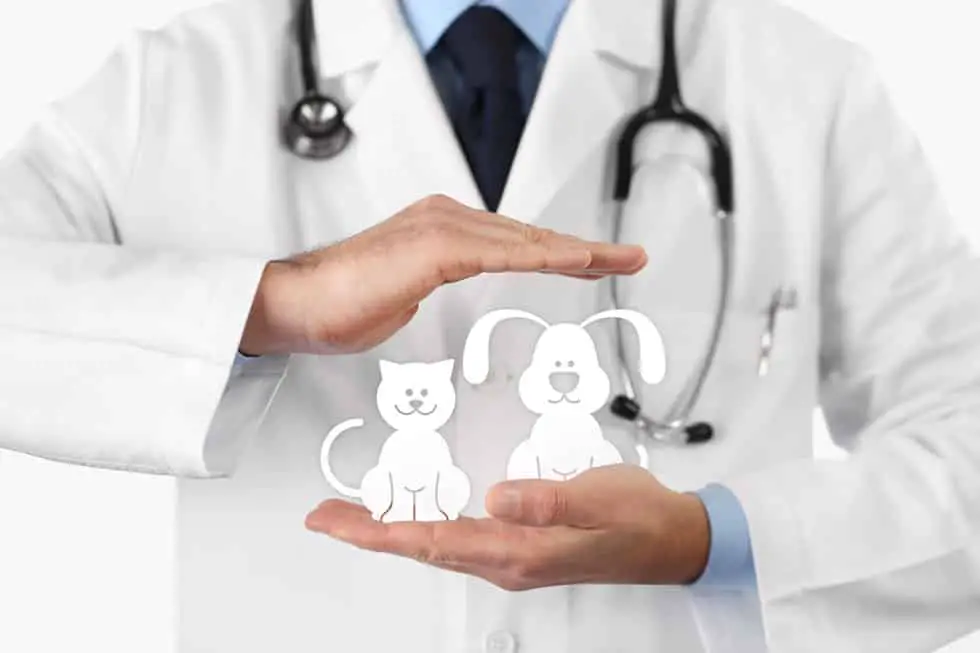 Seguro para mascotas: garantías imprescindibles