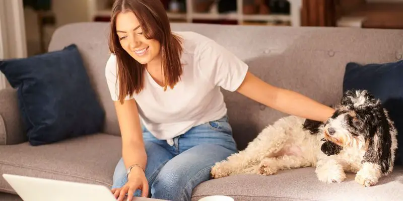 Seguro para mascotas: ¿qué beneficios están disponibles?