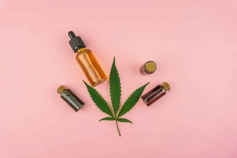CBD: cannabis legal en Europa