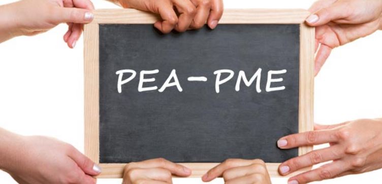 PEA PME – ¿Quién está interesado en invertir?