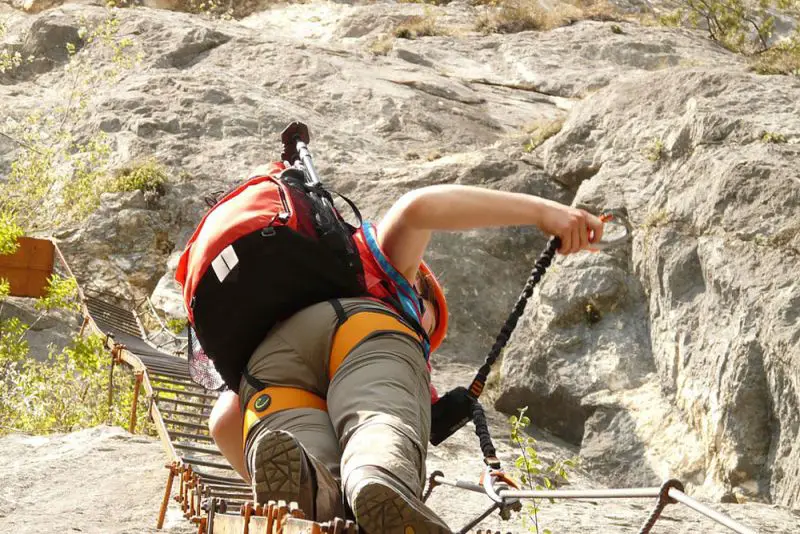 ¿Cómo se elige el seguro de vida adecuado?